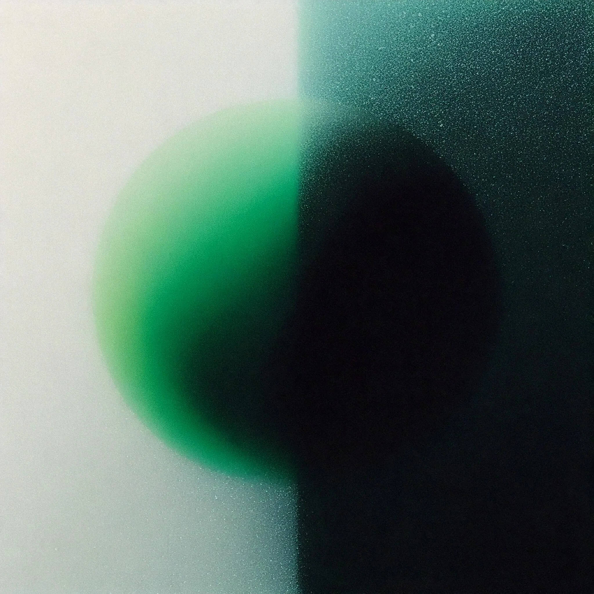 Transcript Comparison Tool Interface